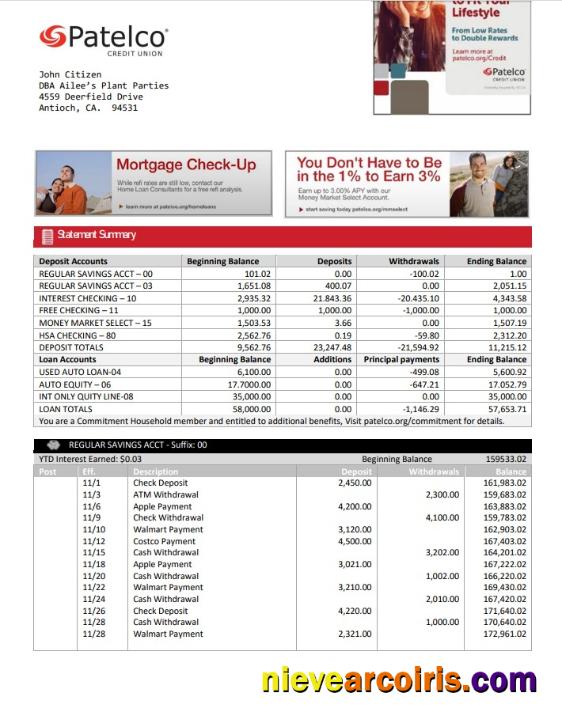 USA California Patelco Credit Union bank statement in Word and PDF format